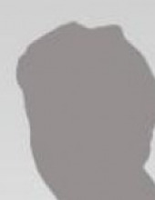 no picture